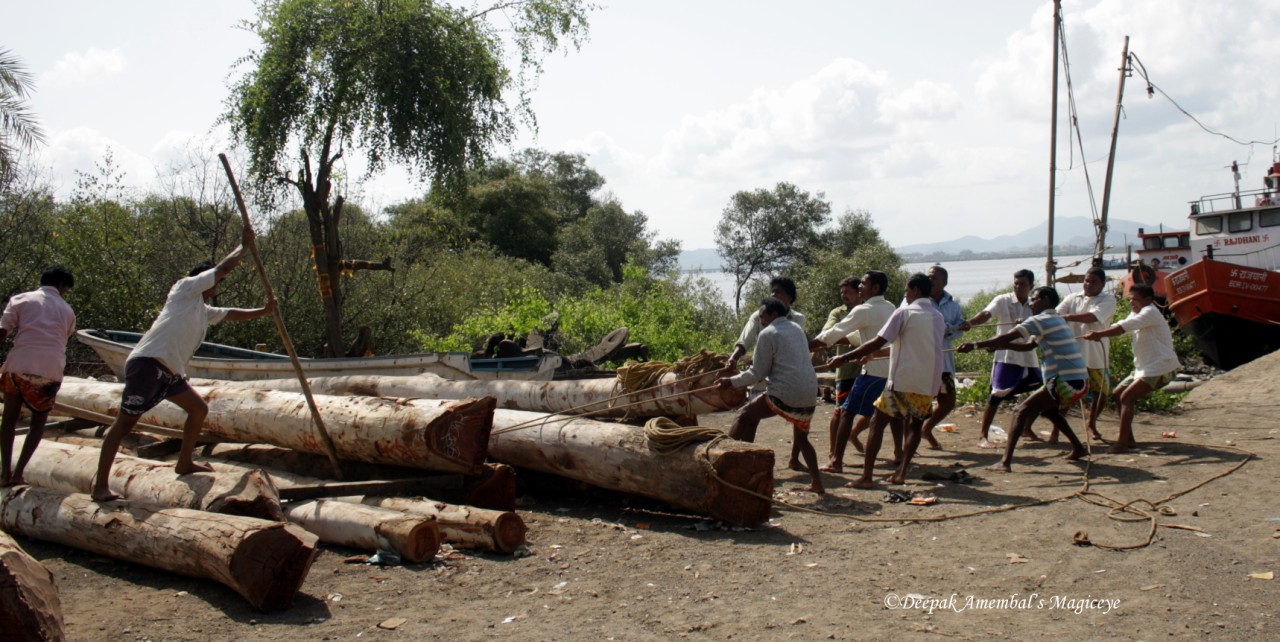 Travel magic Vasai fort